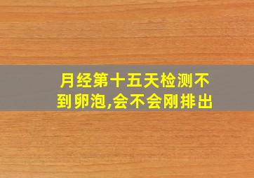 月经第十五天检测不到卵泡,会不会刚排出