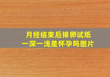 月经结束后排卵试纸一深一浅是怀孕吗图片