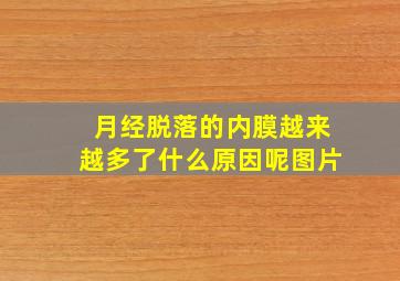 月经脱落的内膜越来越多了什么原因呢图片