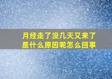 月经走了没几天又来了是什么原因呢怎么回事