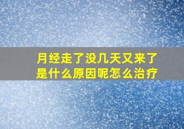 月经走了没几天又来了是什么原因呢怎么治疗