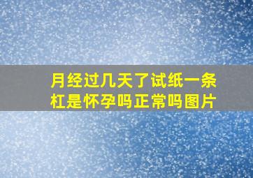 月经过几天了试纸一条杠是怀孕吗正常吗图片