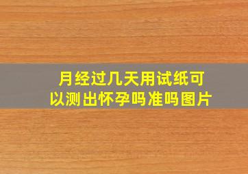 月经过几天用试纸可以测出怀孕吗准吗图片