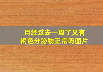 月经过去一周了又有褐色分泌物正常吗图片