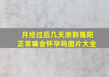 月经过后几天测到强阳正常嘛会怀孕吗图片大全