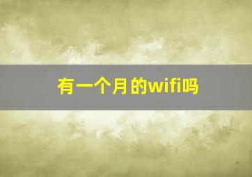 有一个月的wifi吗