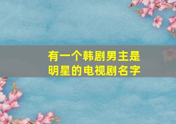 有一个韩剧男主是明星的电视剧名字