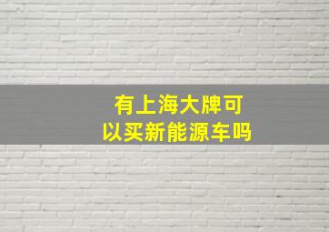 有上海大牌可以买新能源车吗