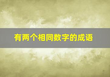 有两个相同数字的成语