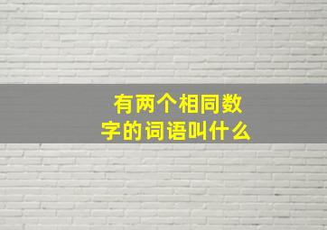 有两个相同数字的词语叫什么