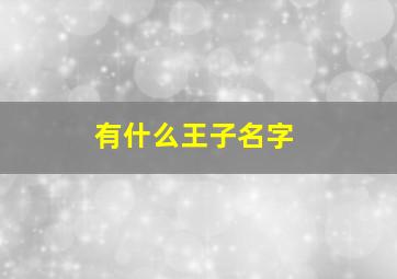 有什么王子名字