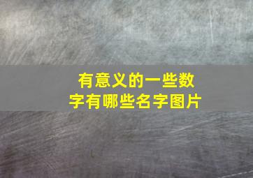 有意义的一些数字有哪些名字图片