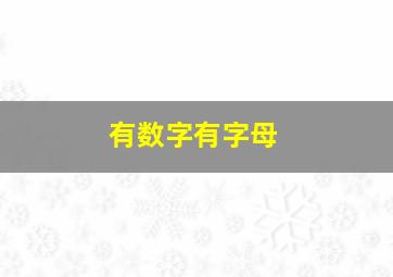 有数字有字母