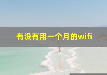 有没有用一个月的wifi