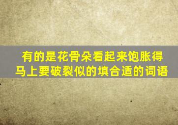 有的是花骨朵看起来饱胀得马上要破裂似的填合适的词语