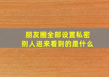 朋友圈全部设置私密别人进来看到的是什么