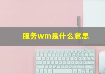 服务wm是什么意思