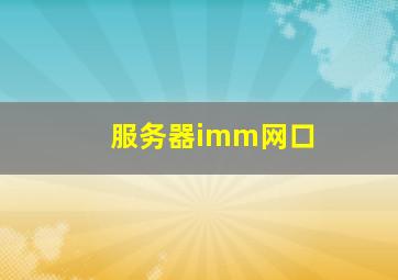 服务器imm网口