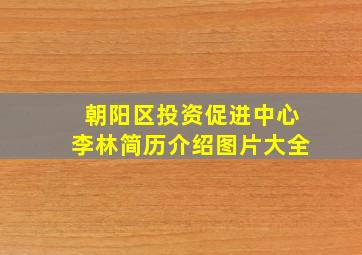 朝阳区投资促进中心李林简历介绍图片大全