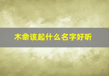 木命该起什么名字好听