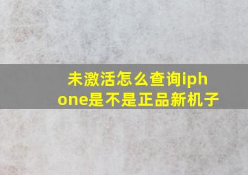 未激活怎么查询iphone是不是正品新机子