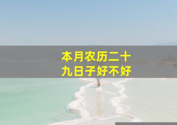 本月农历二十九日子好不好