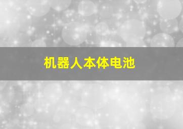 机器人本体电池