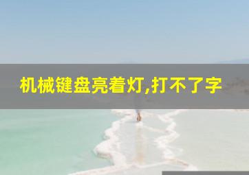 机械键盘亮着灯,打不了字