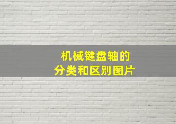 机械键盘轴的分类和区别图片