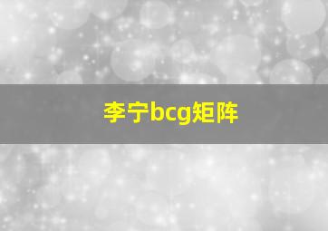 李宁bcg矩阵