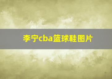 李宁cba篮球鞋图片