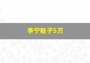 李宁鞋子5万