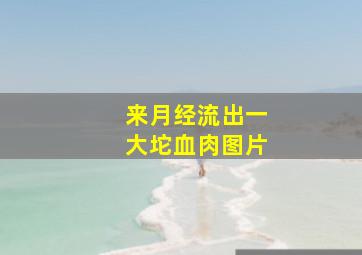 来月经流出一大坨血肉图片