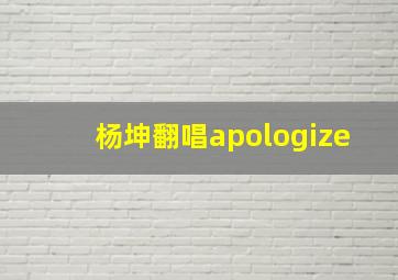 杨坤翻唱apologize