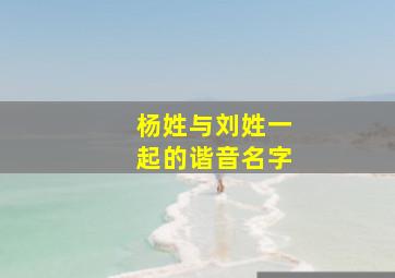 杨姓与刘姓一起的谐音名字