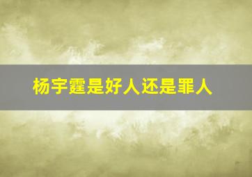 杨宇霆是好人还是罪人