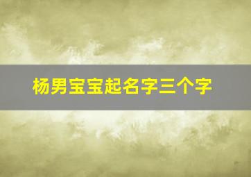 杨男宝宝起名字三个字