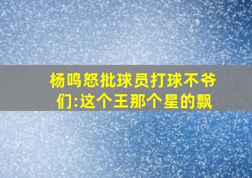 杨鸣怒批球员打球不爷们:这个王那个星的飘