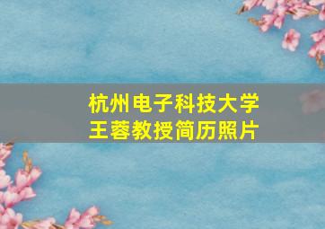 杭州电子科技大学王蓉教授简历照片