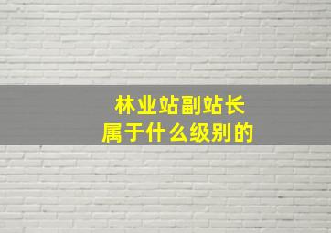 林业站副站长属于什么级别的