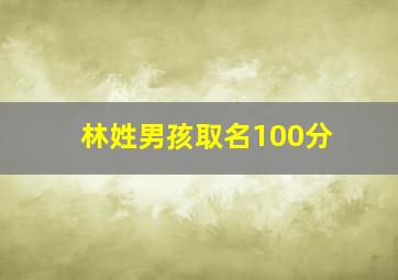 林姓男孩取名100分