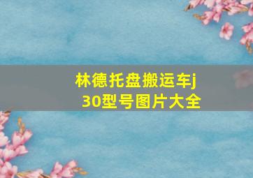 林德托盘搬运车j30型号图片大全