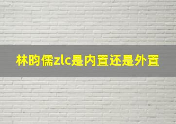 林昀儒zlc是内置还是外置