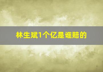 林生斌1个亿是谁赔的