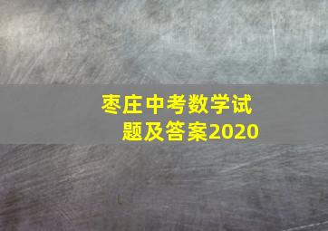 枣庄中考数学试题及答案2020