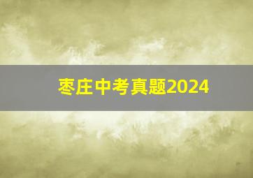 枣庄中考真题2024