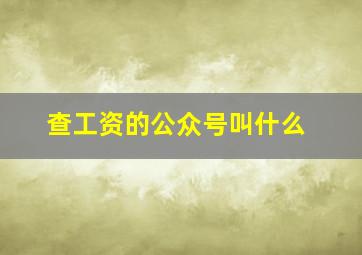 查工资的公众号叫什么