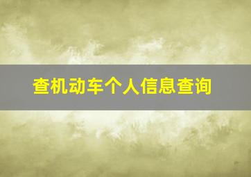 查机动车个人信息查询