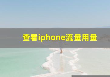 查看iphone流量用量