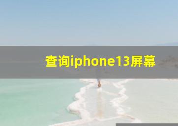 查询iphone13屏幕